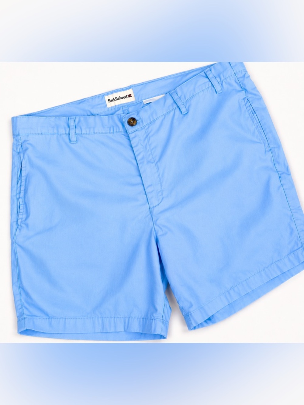 Saddlebred Light Blue Chino Shorts‎ Mens Casual Preppy Coastal Summer